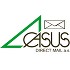 logo CASUS DIRECT MAIL a.s. - Mailingové a tiskové služby