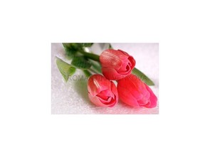 Umělé tulipány