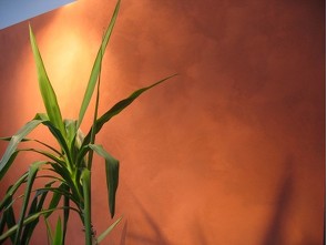 Helios Spektra Decor Quartz