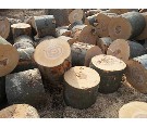 Špalkované dřevo – tvrdé