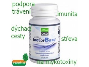 OKG Factor Base  - detoxikace, imunita, střeva, trávení