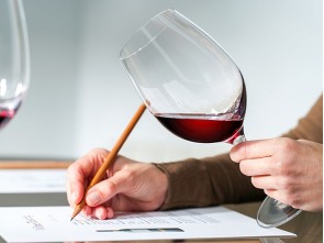 Základy sommelierství, vína a vinařství ČR