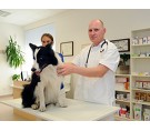 Návštěva u veterináře