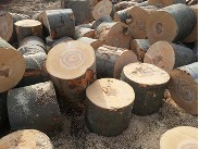 Špalkované dřevo – tvrdé