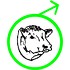 logo "Odchovna plemenných býků Cunkov s.r.o."