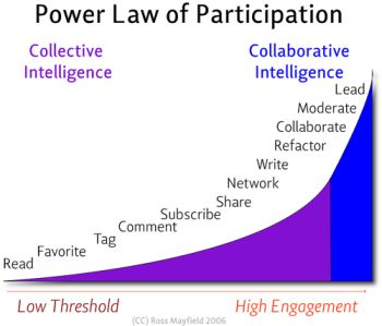 Power Law of Participation