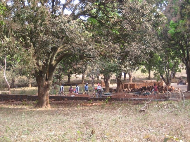 Stavba studentské koleje uprostřed mangovníkového sadu